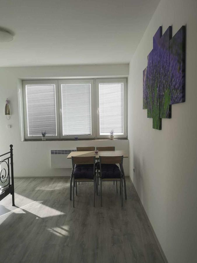 U Vody Apartment *