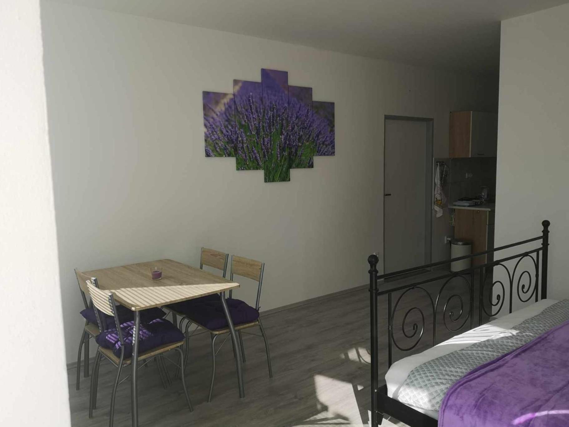 U Vody Apartment *